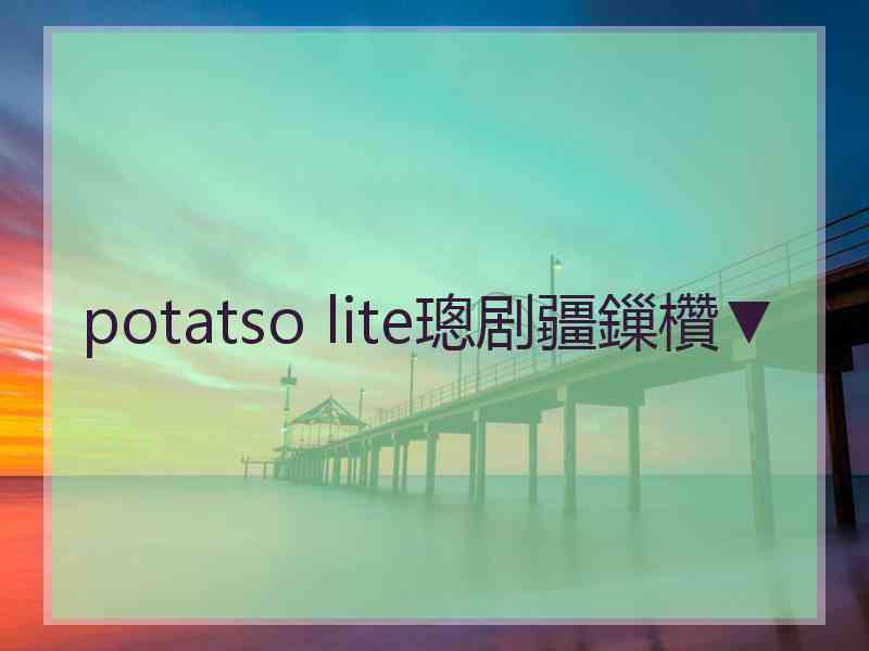 potatso lite璁剧疆鏁欑▼