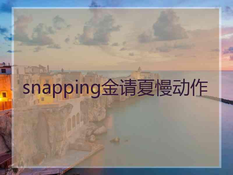 snapping金请夏慢动作