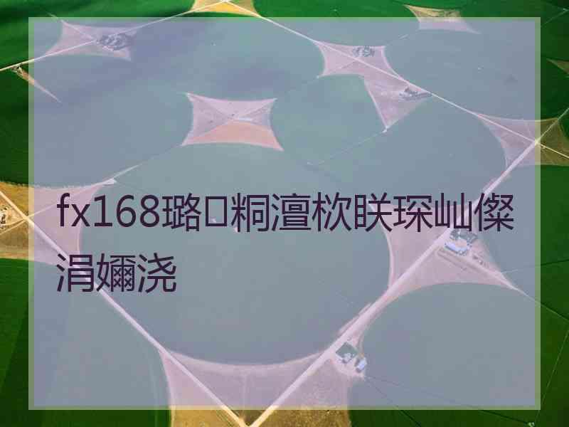 fx168璐㈢粡澶栨眹琛屾儏涓嬭浇