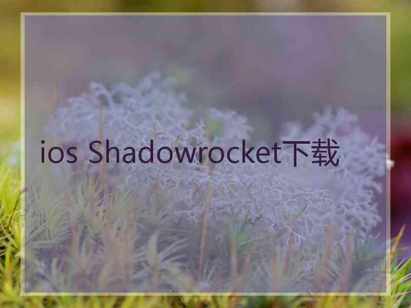 ios Shadowrocket下载