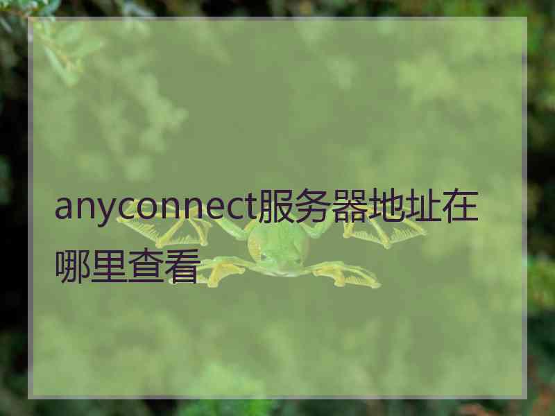 anyconnect服务器地址在哪里查看