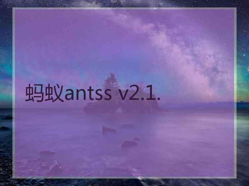 蚂蚁antss v2.1.