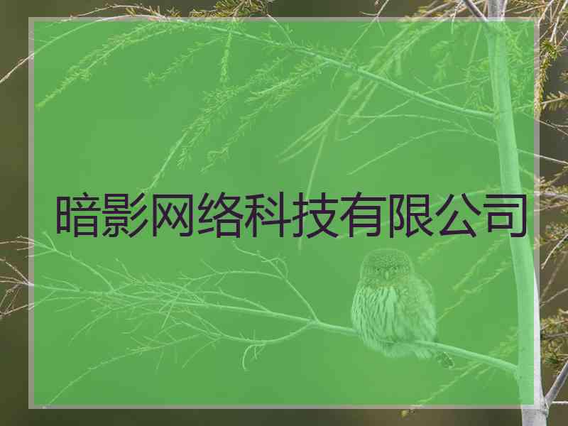 暗影网络科技有限公司