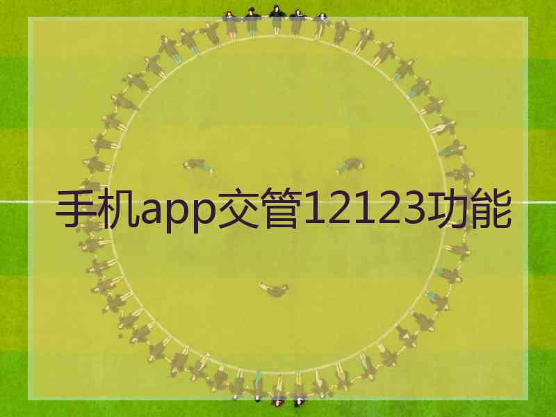 手机app交管12123功能