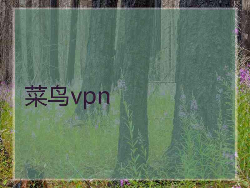 菜鸟vpn