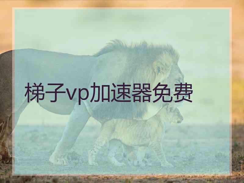 梯子vp加速器免费