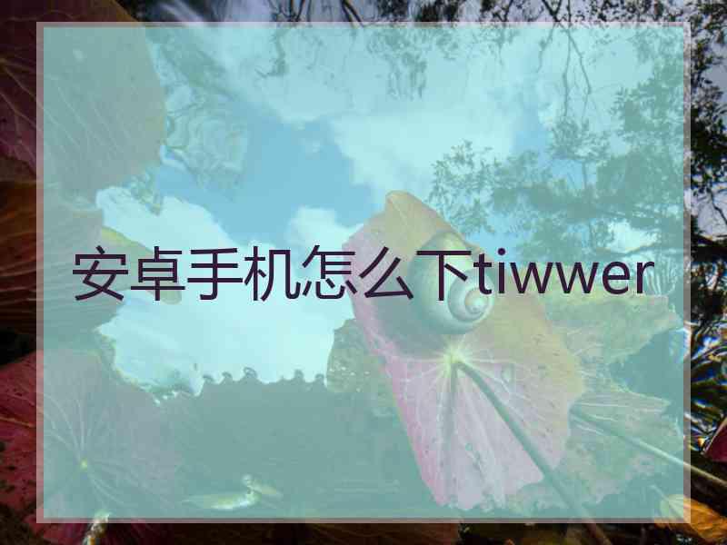 安卓手机怎么下tiwwer