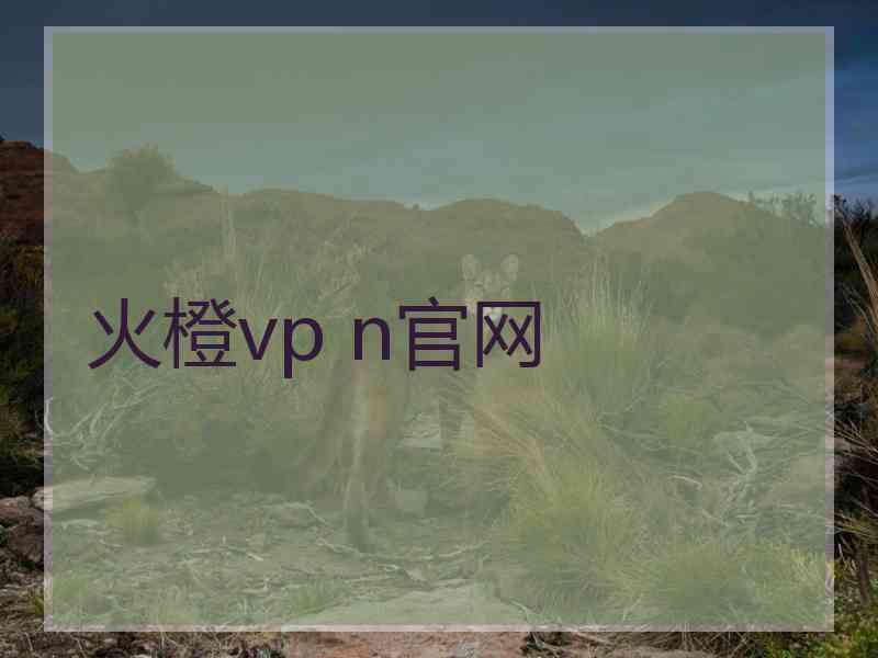 火橙vp n官网