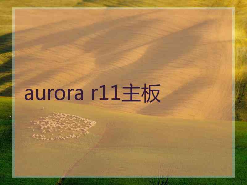 aurora r11主板