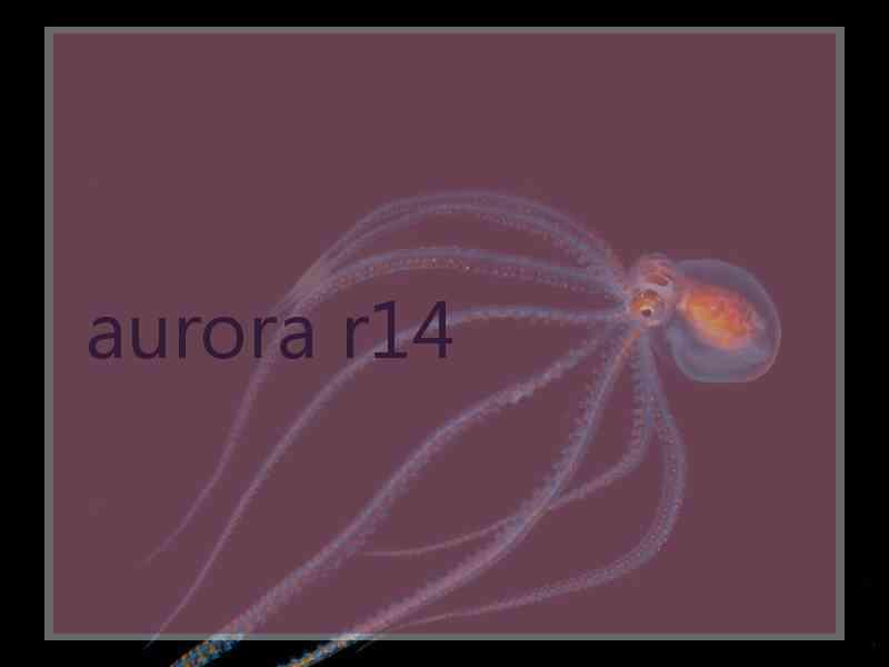 aurora r14