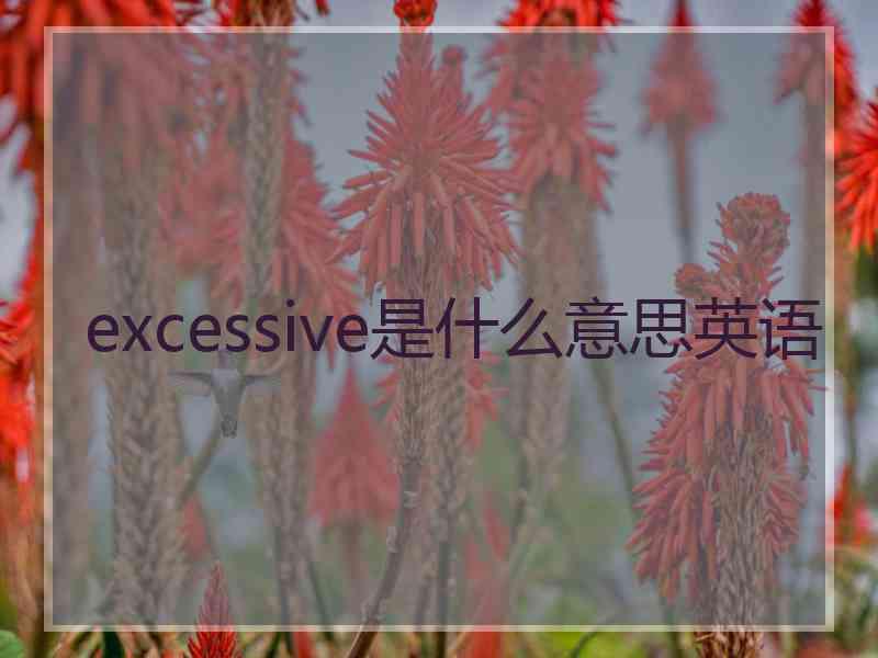 excessive是什么意思英语