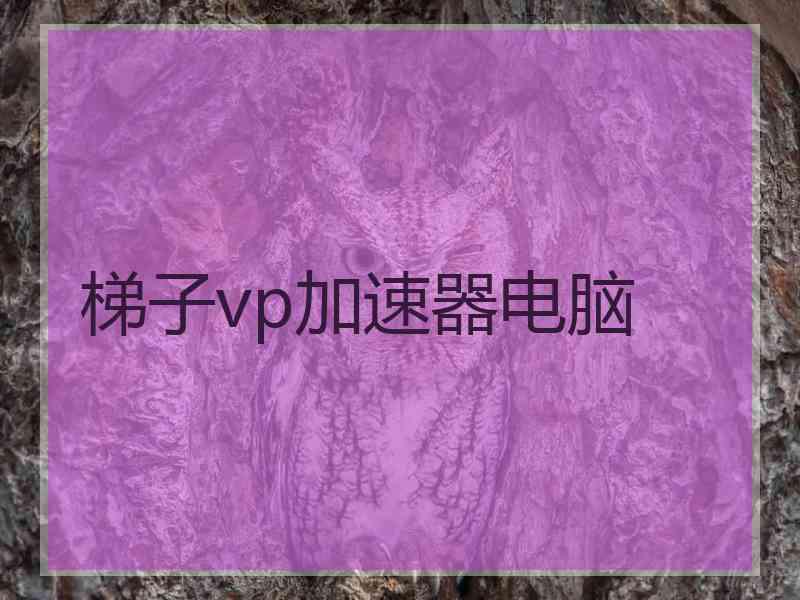 梯子vp加速器电脑