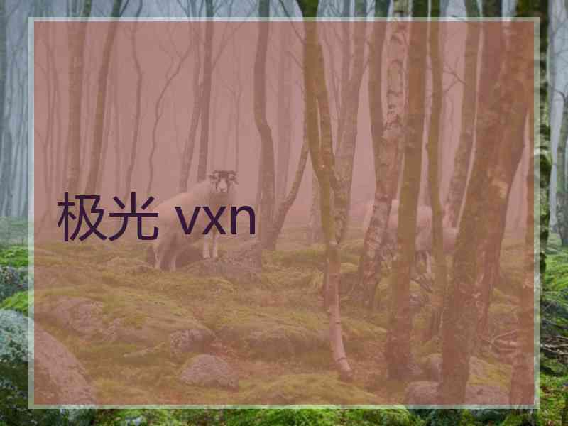 极光 vxn