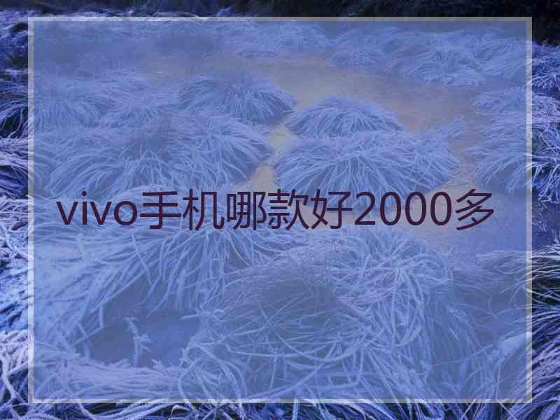 vivo手机哪款好2000多