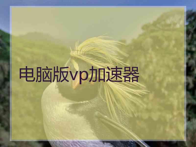 电脑版vp加速器