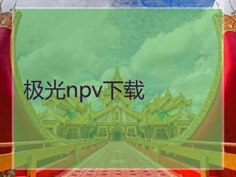 极光npv下载