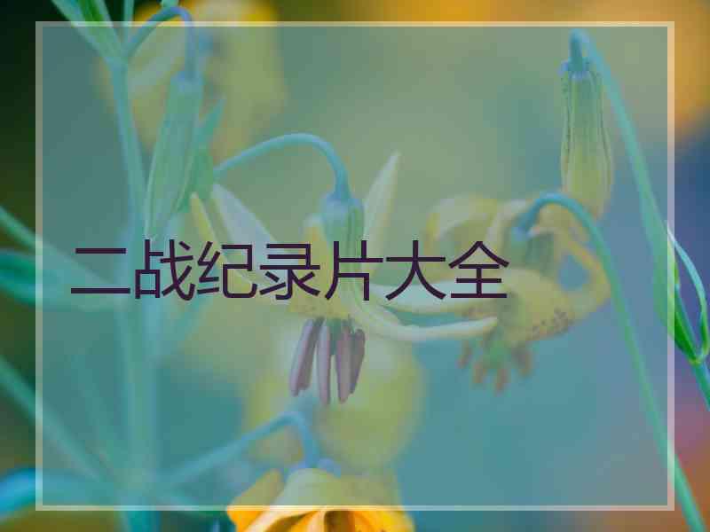 二战纪录片大全