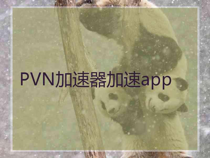 PVN加速器加速app