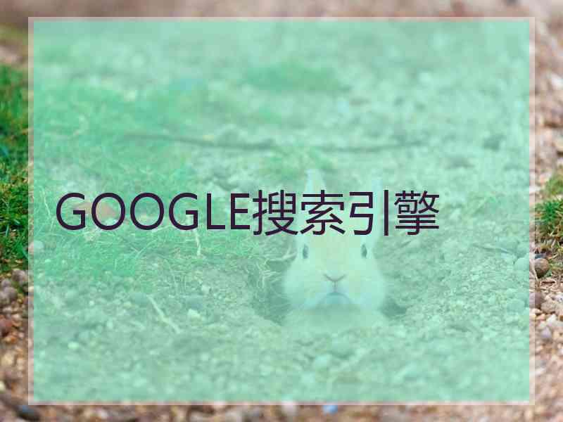 GOOGLE搜索引擎