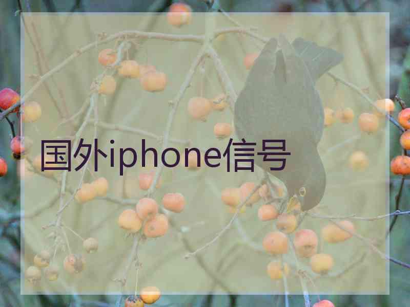 国外iphone信号