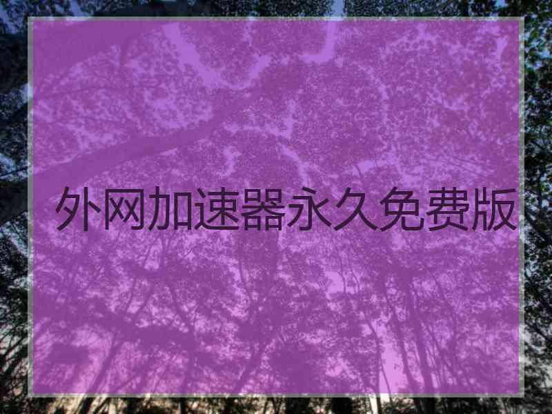 外网加速器永久免费版