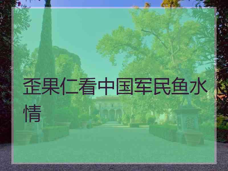 歪果仁看中国军民鱼水情