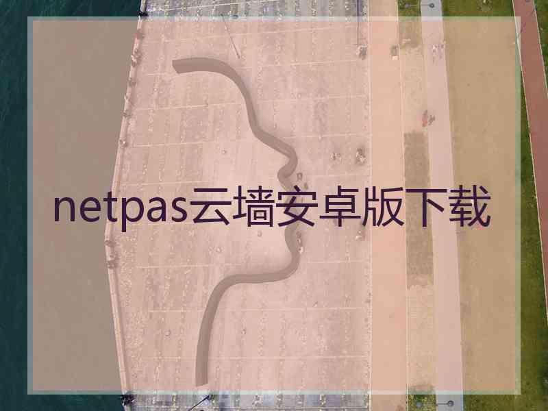 netpas云墙安卓版下载