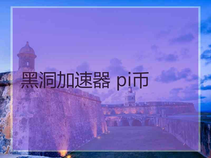 黑洞加速器 pi币