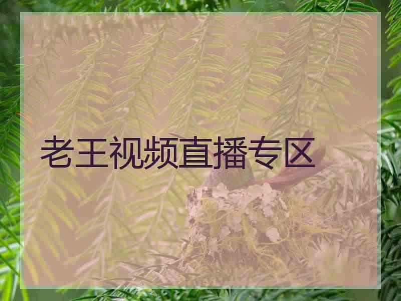 老王视频直播专区