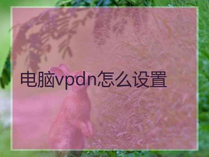 电脑vpdn怎么设置