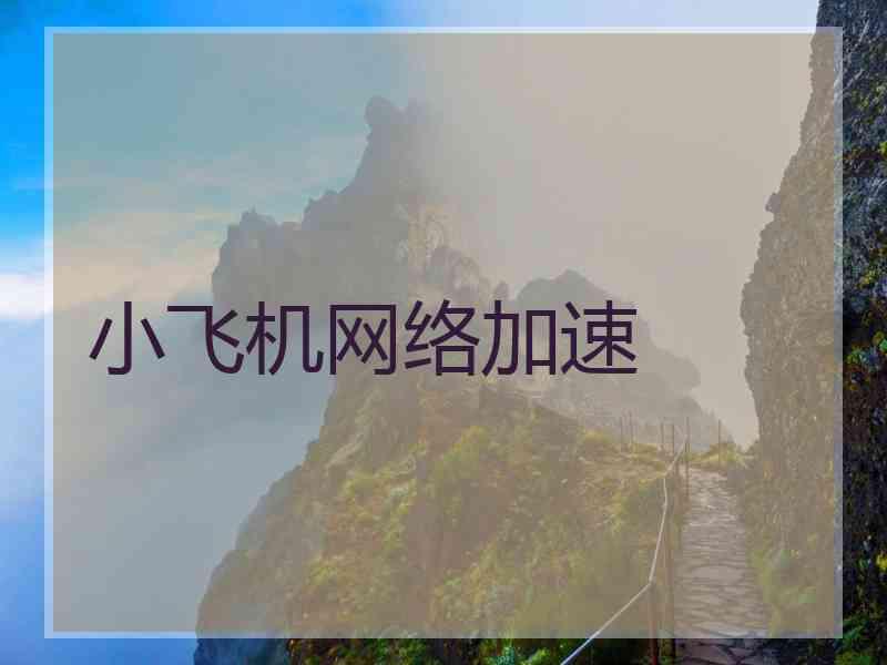 小飞机网络加速