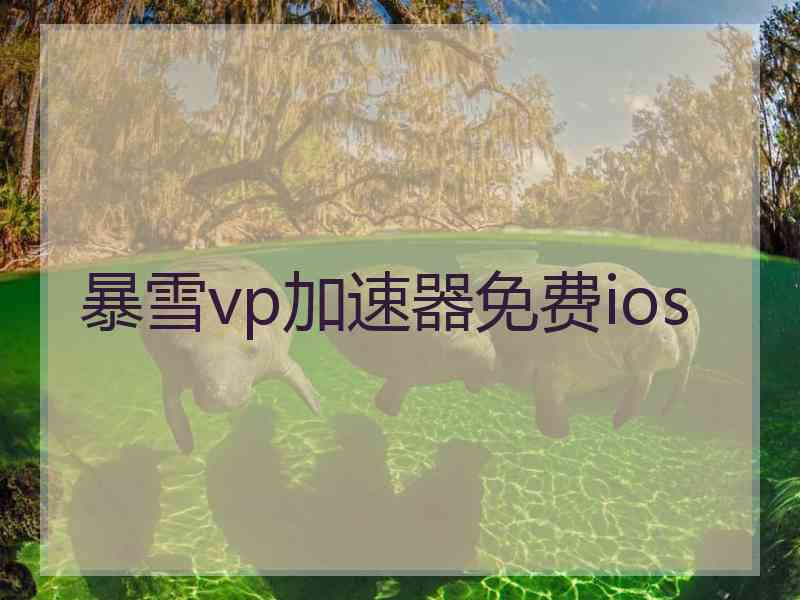 暴雪vp加速器免费ios