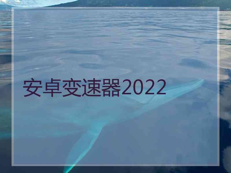 安卓变速器2022