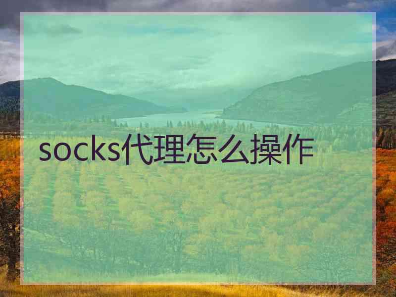 socks代理怎么操作