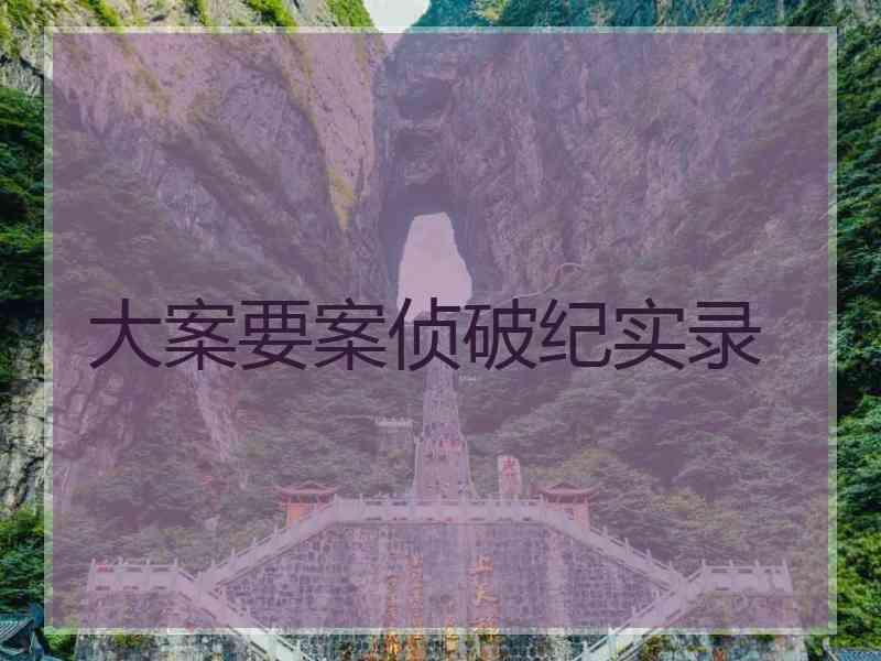 大案要案侦破纪实录