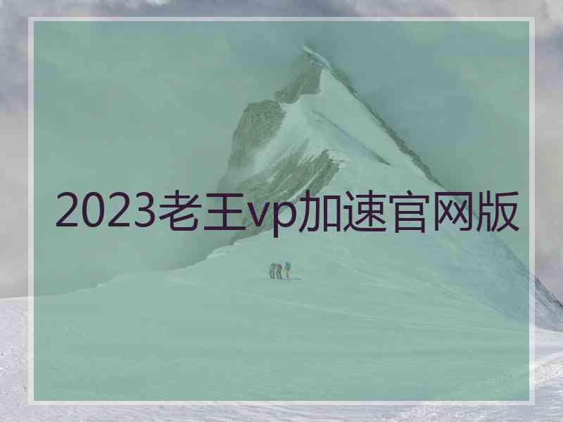 2023老王vp加速官网版