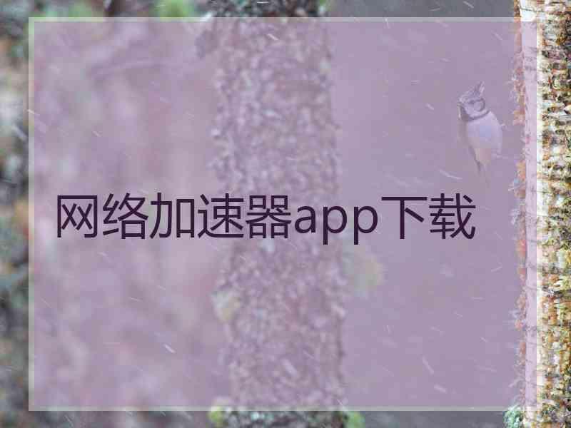 网络加速器app下载