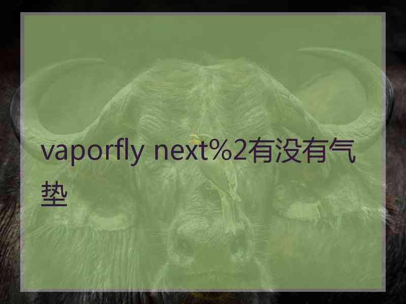 vaporfly next%2有没有气垫