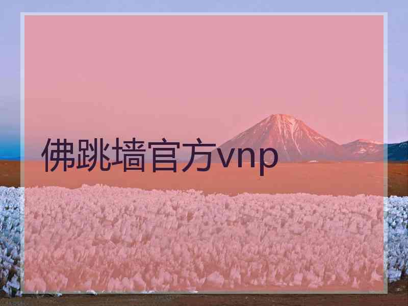 佛跳墙官方vnp