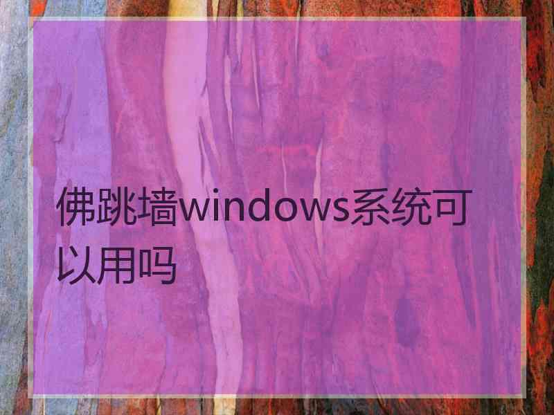 佛跳墙windows系统可以用吗