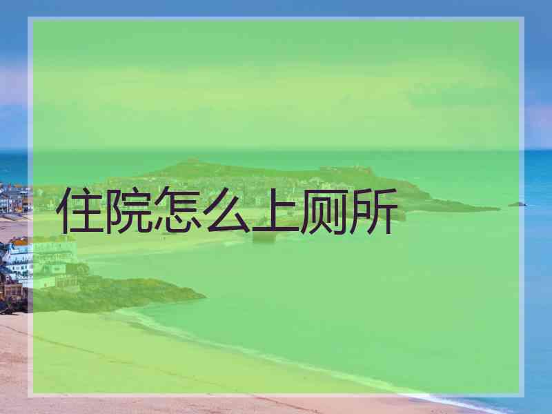 住院怎么上厕所