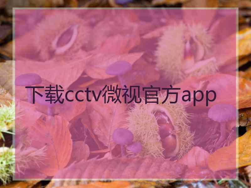 下载cctv微视官方app