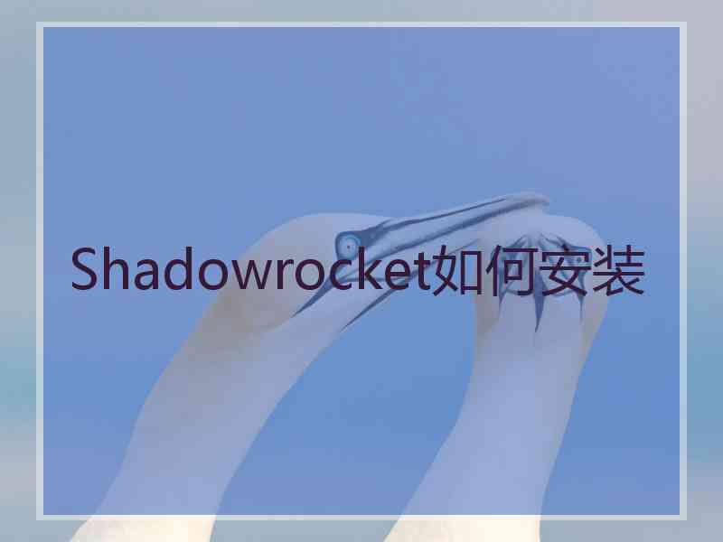 Shadowrocket如何安装