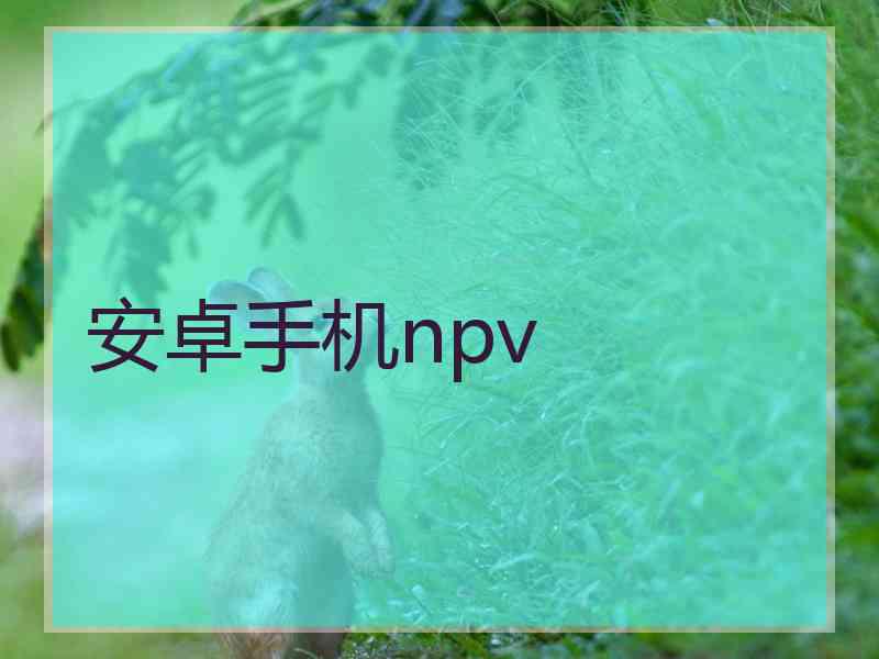 安卓手机npv