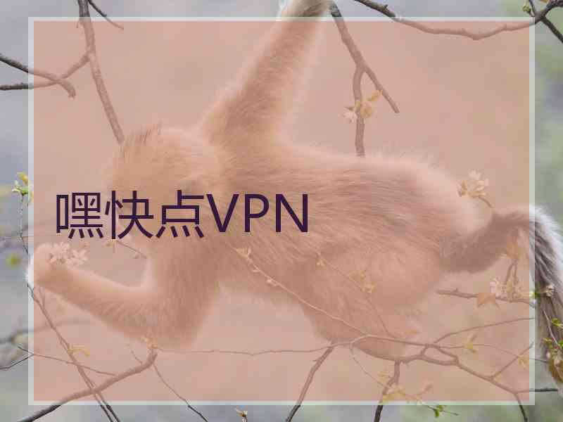 嘿快点VPN