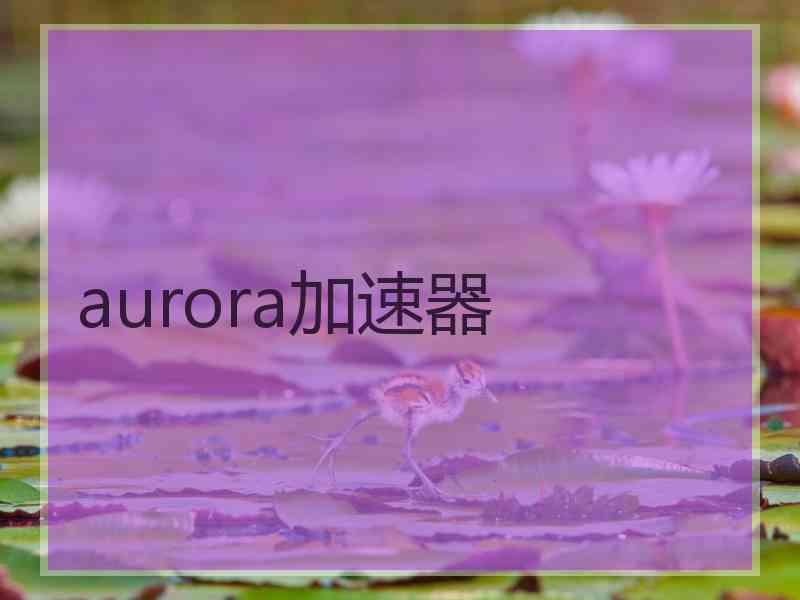 aurora加速器