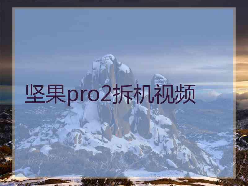 坚果pro2拆机视频