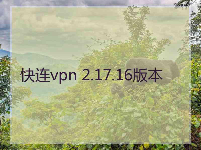 快连vpn 2.17.16版本