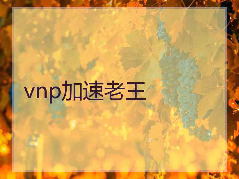 vnp加速老王