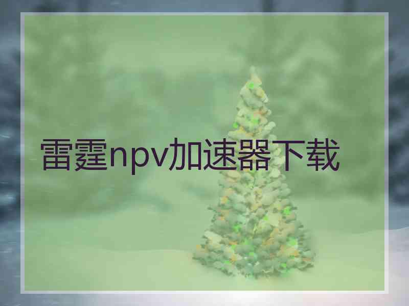 雷霆npv加速器下载